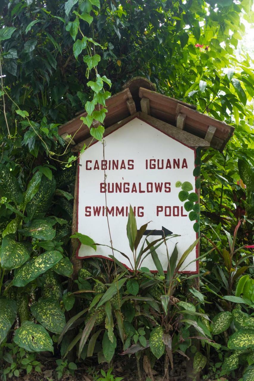 Cabinas Iguana كويتا المظهر الخارجي الصورة